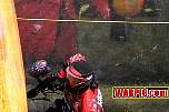 IMG1010.jpg