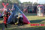 IMG1174.jpg