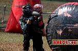 IMG1355.jpg