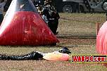 IMG1686.jpg