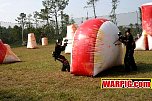IMG8126.jpg