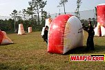 IMG8127.jpg