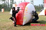 IMG8129.jpg