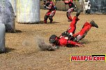 IMG8315.jpg