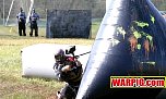 IMG7133.jpg