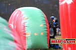 IMG7431.jpg