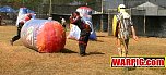 IMG7964.jpg