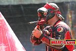 IMG7977.jpg