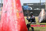 IMG8009.jpg