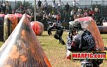 IMG8012.jpg