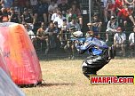 IMG8174.jpg