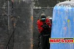 IMG8222.jpg