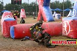 IMG8454.jpg