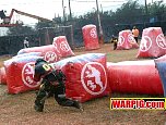 IMG8475.jpg