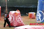 IMG8503.jpg