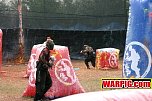 IMG8504.jpg
