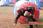 IMG8514.jpg