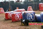 IMG8530.jpg