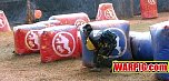 IMG8531.jpg
