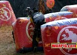 IMG8533.jpg