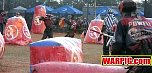 IMG8575.jpg