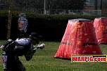 IMG4235.jpg