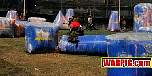 IMG4352.jpg