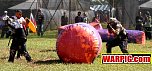 IMG1115.jpg