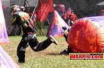 IMG1131.jpg