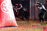 IMG1288.jpg