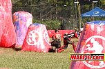 IMG1303.jpg