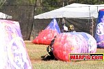 IMG1310.jpg