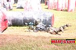 IMG1350.jpg