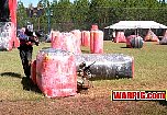 IMG1351.jpg