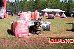 IMG1355.jpg