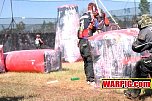 IMG1363.jpg