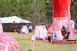 IMG1371.jpg