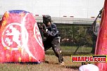 IMG1384.jpg