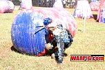 IMG1393.jpg
