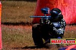 IMG1411.jpg
