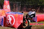 IMG1433.jpg