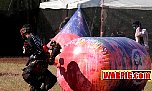 IMG1510.jpg