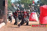 IMG1313.jpg