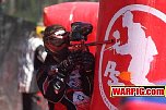 IMG1337.jpg