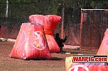 IMG2017.jpg