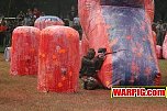 IMG2371.jpg