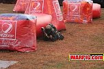 IMG2386.jpg