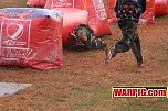 IMG2391.jpg