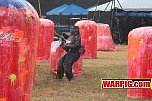 IMG2527.jpg