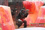 IMG2529.jpg